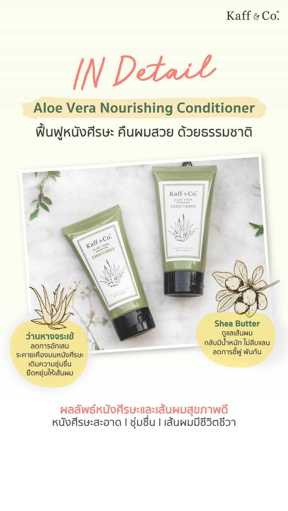 Saver Set - ครีมนวดผมว่านหางจระเข้ 300 ML และ ชนิดเติม