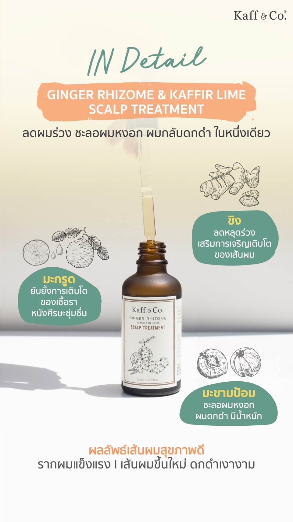 Saver Set - ทรีทเม้นท์บำรุงหนังศีรษะสารสกัดเหง้าขิง และน้ำมันมะกรูดสกัดเย็น 100 ML & 50 ML